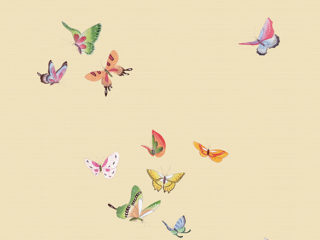 Xanadu Collection-Butterfly